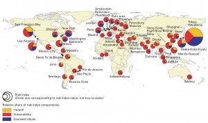 megacitises riskindexmap